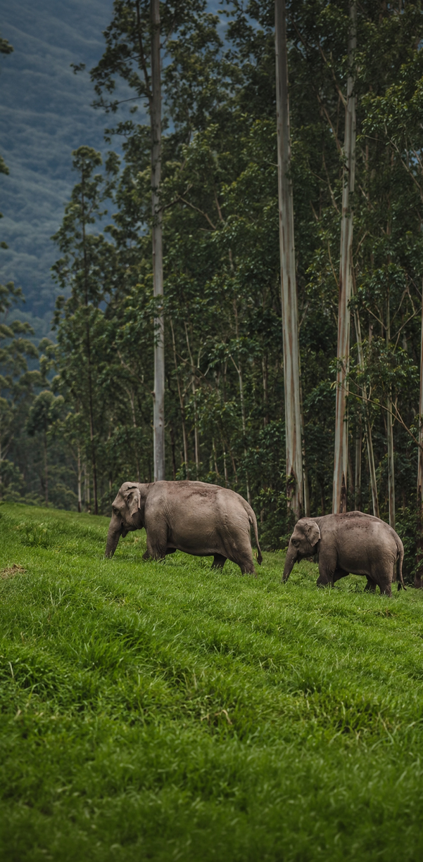 Day 2: Into the Spice Hills
