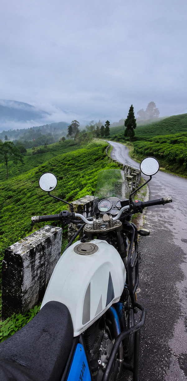 Day 4: Vagamon's Scenic Farewell